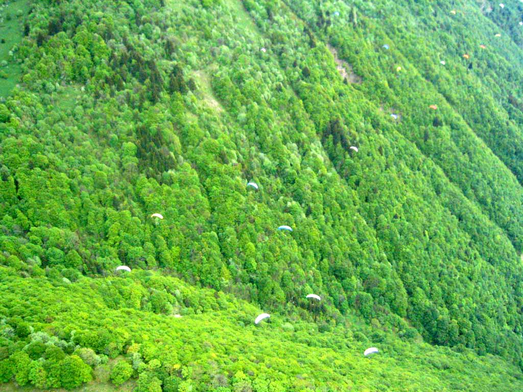 radada