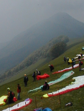 pelat-2