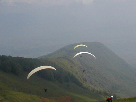 pelat-3