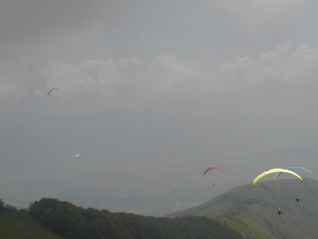 pelat-4