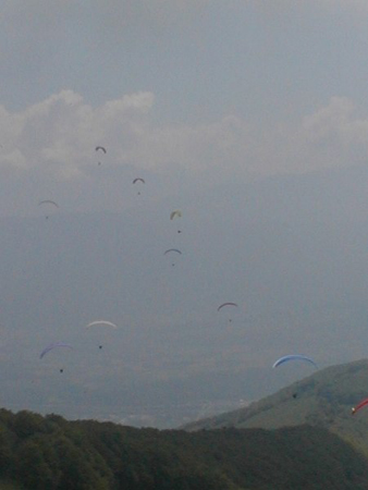 pelat-5
