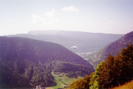 volail97