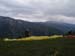 31_clubpelat