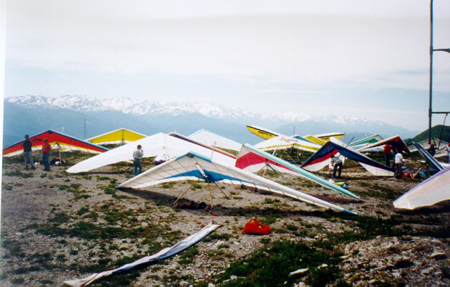 deltail16