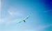 sap0499_03