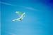 sap0499_05